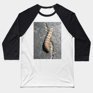 Caterpillar Baseball T-Shirt